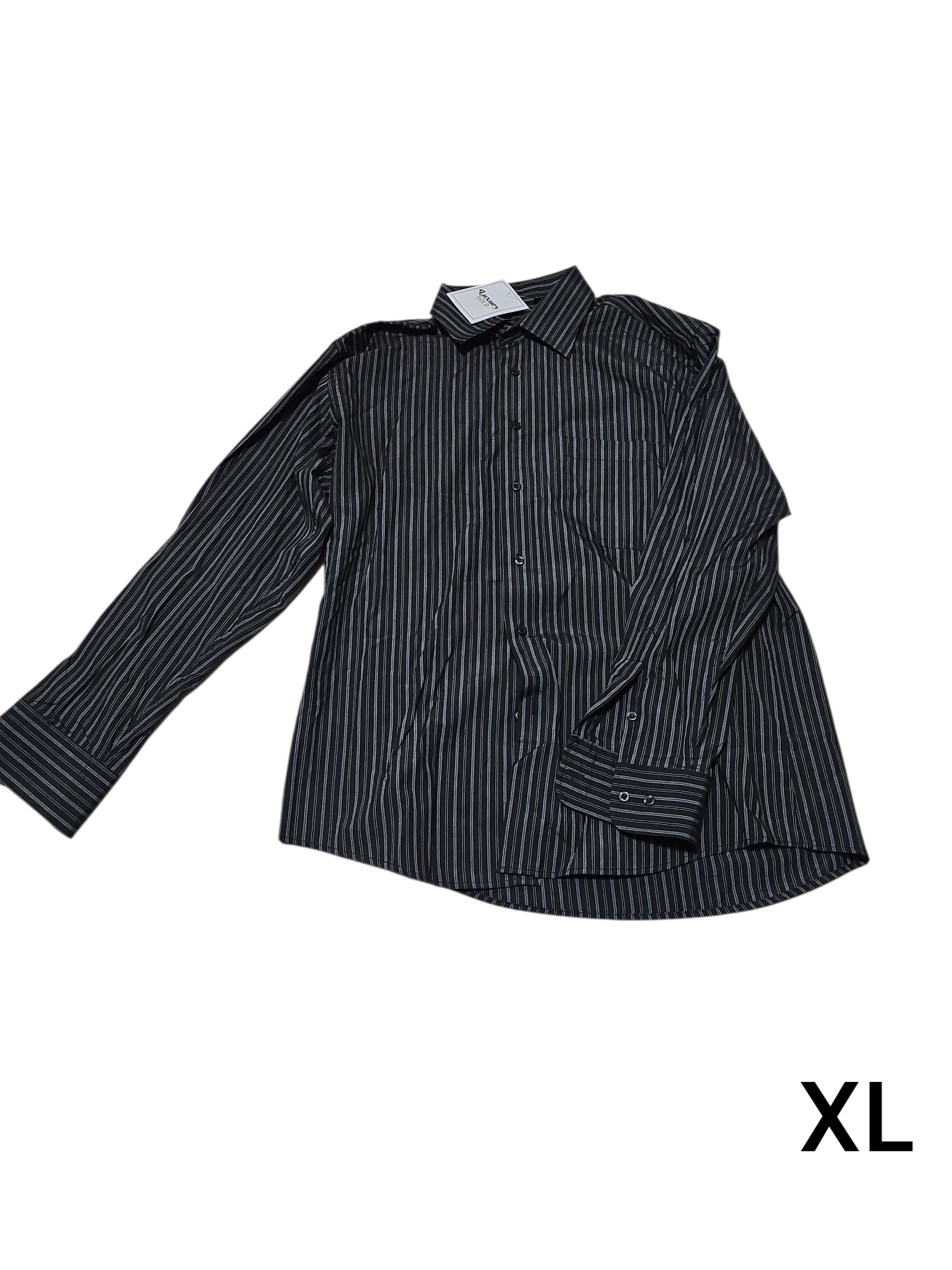 Camicie è elegante a maniche lunghe